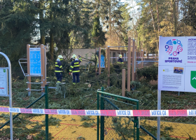 Kvůli orkánu Sabine spadl na děti na dětském hřišti v Praze strom, dvě jsou zraněné