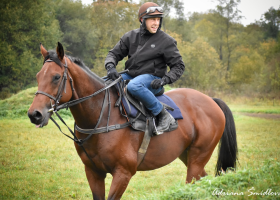 Smrt koně Sottoventa při Velké Pardubické je tragédií, píše žokej Váňa na svém facebooku