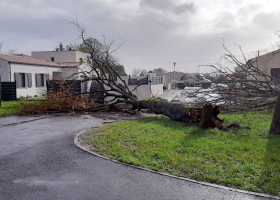 Ve Francii je kvůli silné bouři 140 tisíc domácností bez proudu