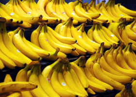 Banánové plantáže v Kolumbii napadla plíseň. Dopad to může mít na cenu ovoce i v Česku.