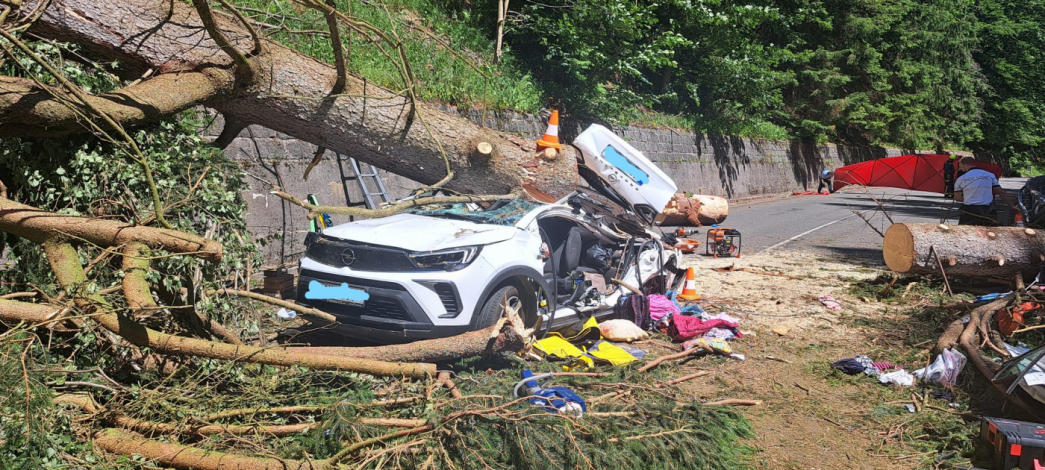 Tři lidé zemřeli po pádu stromu na auto v Krkonoších. Byl totálně ztrouchnivělý