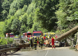 Tragická nehoda si vyžádala životy tří lidí