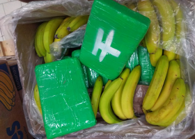V krabicích od banánů bylo přes 800 kilo kokainu. Případ přebírá protidrogová centrála