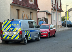 vražda na dvoře rodinného domu v Oldřichově