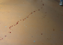 Krev na místě činu