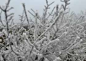 Zima se vrací: Česko čeká mráz, sněžení i ledovka