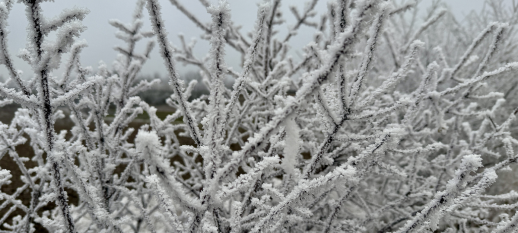 Zima se vrací: Česko čeká mráz, sněžení i ledovka